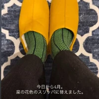 画像236