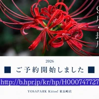 画像327
